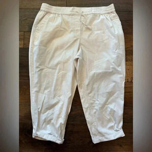 Talbots Pants- 2XL petite